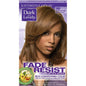 Dark & Lovley fade resist chestnut blonde 380