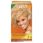 Creme of nature C43 lightest blonde