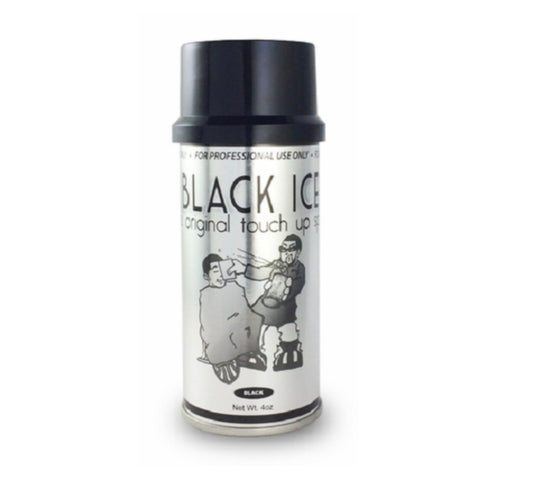 Black ice the original touch up spray 4 oz