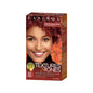 Clairol Texture & Tones 6R Ruby Rage