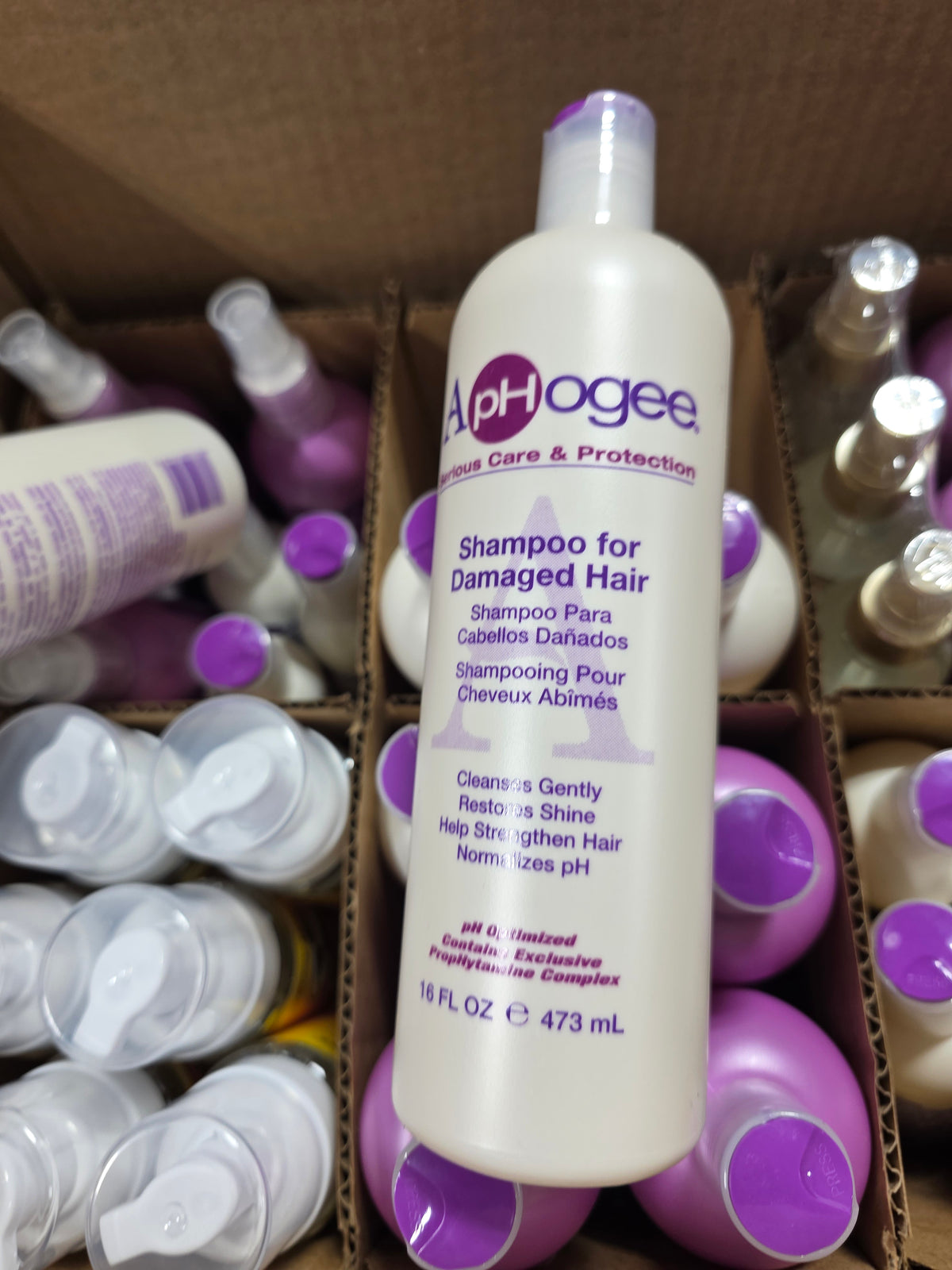 APHOGEE SHAMPOO DAMAGED 16 OZ by Beauty Giant
